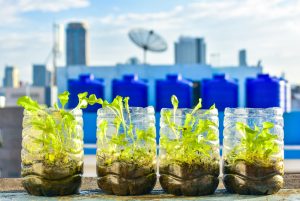 11 ideas sencillas para consumir menos plástico en casa