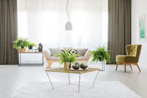 Helechos: la nueva pasión decorativa