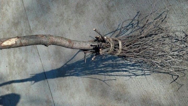 4 decoraciones para Halloween espeluznantes.