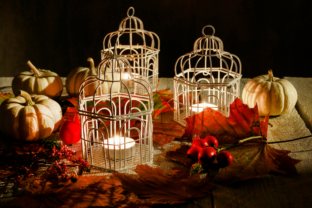 Jaulas iluminadas.