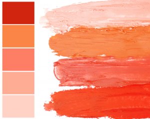 El color salmón: calidez y elegancia