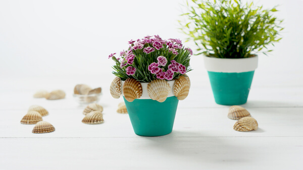 Macetas de plantas decoradas con conchas.