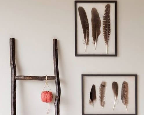 Marcos con plumas enmarcadas.