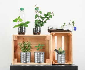 Decoración a partir de una botella de plástico