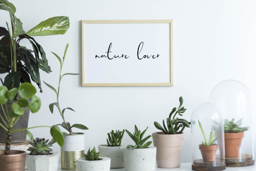 Cuadros lettering.