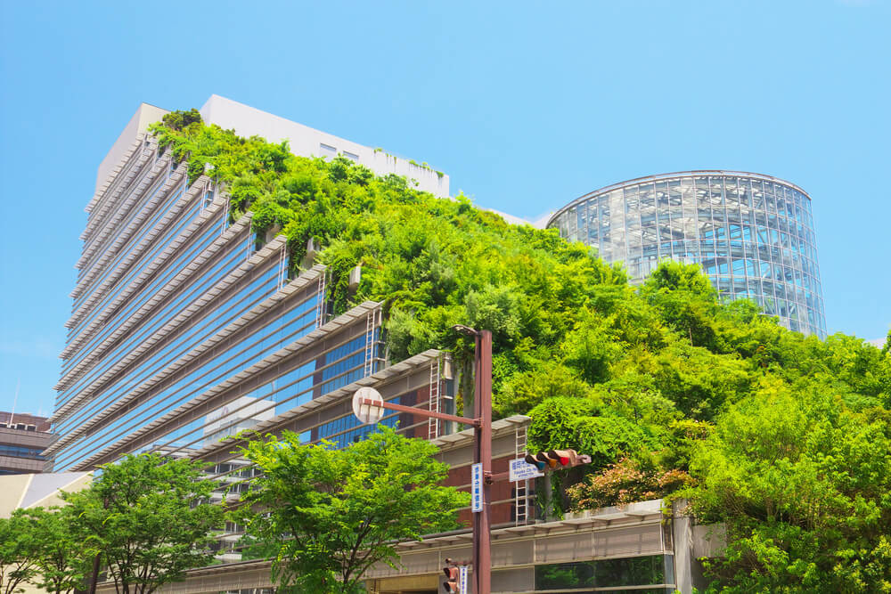 A large green roof.