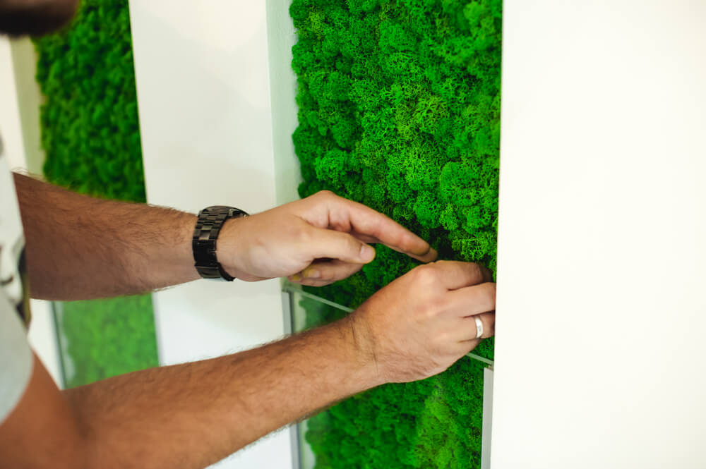 Entrada de casa con musgo.