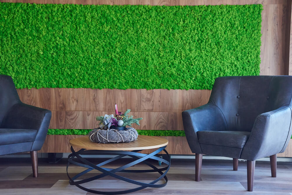 Pared con jardín.