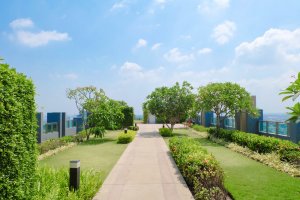 Techo verde: todo lo que necesitas saber