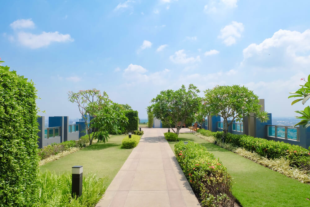 Techo verde: todo lo que necesitas saber