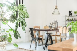 5 maneras de decorar tu casa con plantas