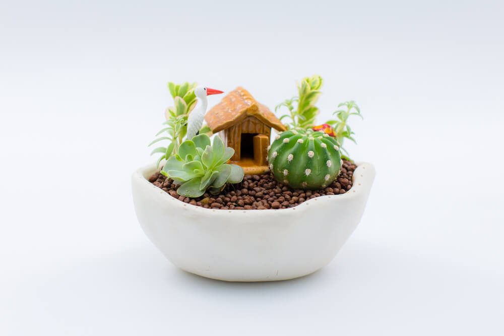 Decoración de un jardín en miniatura.