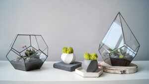 ¿Cómo realizar un jardín en miniatura?