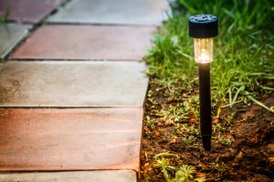 Un jardín bien iluminado