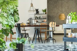 Las plantas perfectas para cada habitación