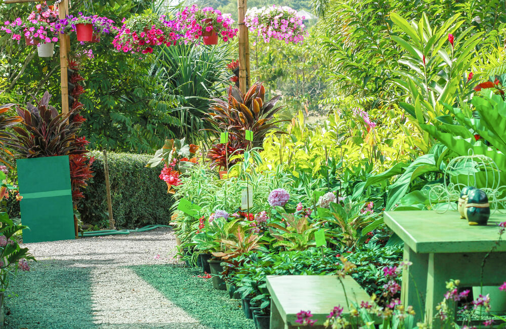 Reglas para diseñar un jardín.