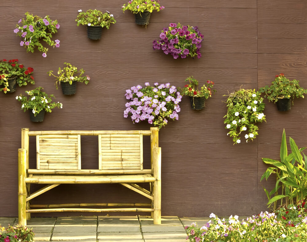 Selección de plantas del jardín.