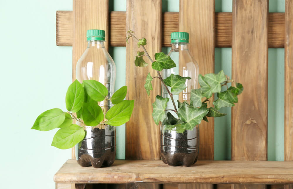 Maceteros con botellas de plástico.