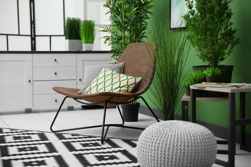 Pared en verde musgo.