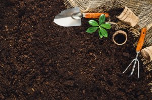 ¿Cómo preparar un huerto para el jardín?