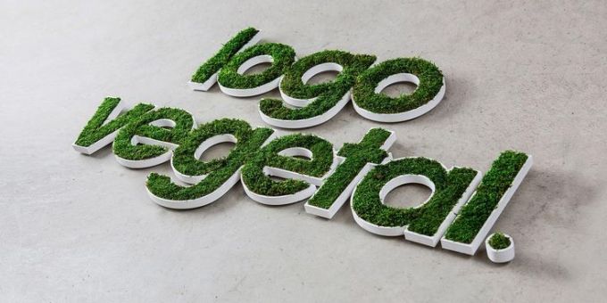 Letras con musgo.