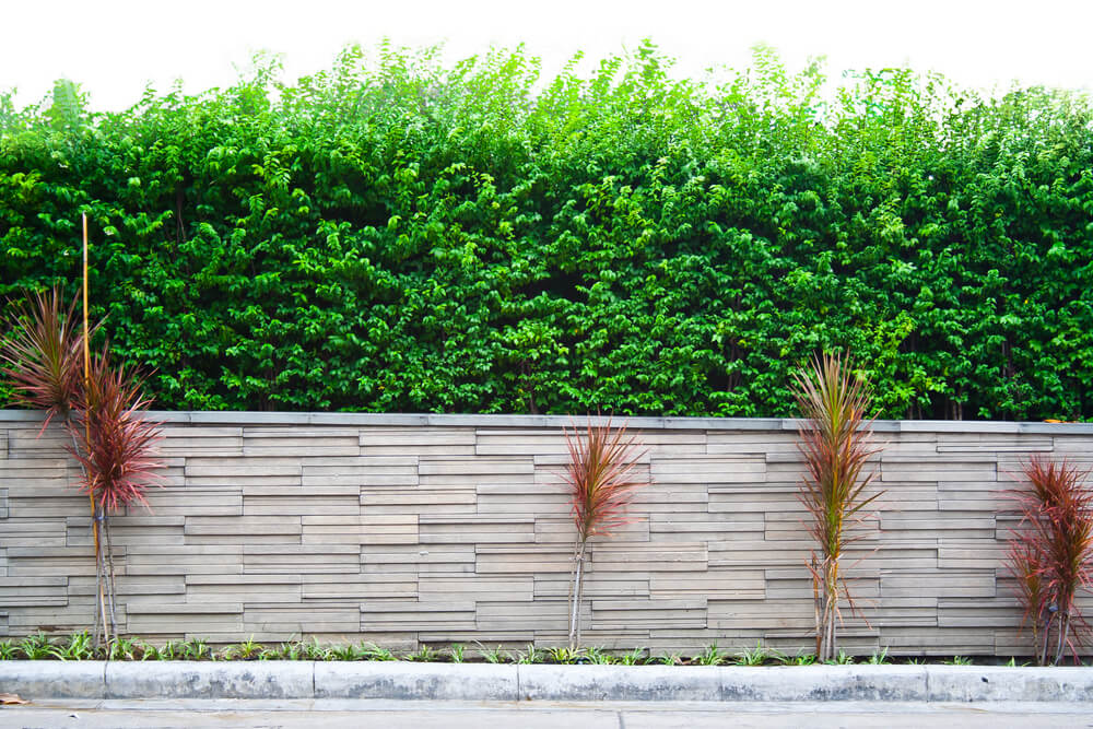 Muro del jardín.