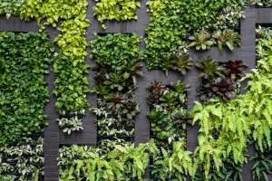 Tipos de muros para el jardín