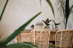 El bambú dentro del diseño de interiores