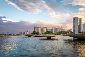 Burle Marx y el nacimiento del paisajismo moderno