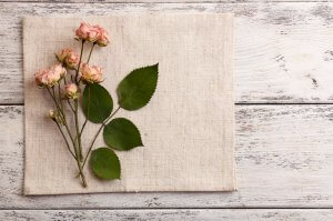 Jarrones con flores secas: ¡estas son las mejores!