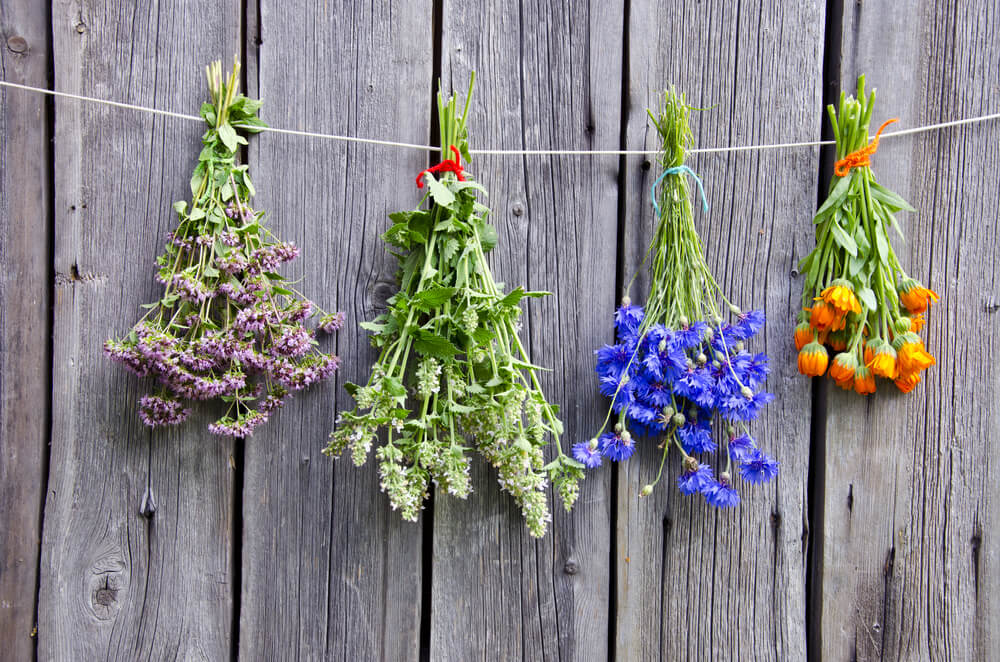 Múltiples fragancias aromáticas.