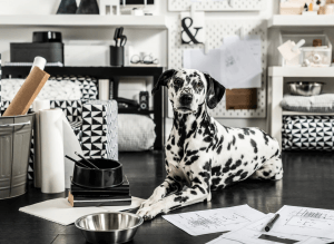 LURVIG 2.0 la segunda edición de la colección para mascotas de Ikea