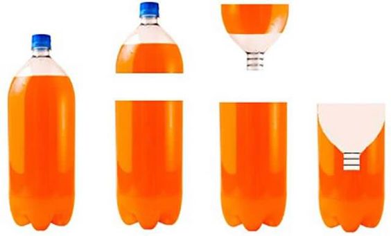 Cómo hacer una trampa para cucarachas