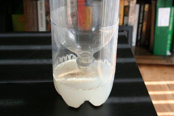 5 fórmulas para deshacerte de los insectos en el hogar