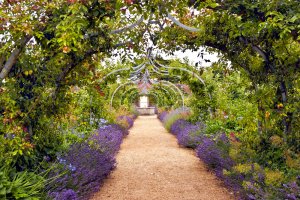 ¿El jardín inglés o el jardín mediterráneo? Tú eliges