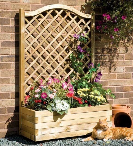 Espaldera para plantas