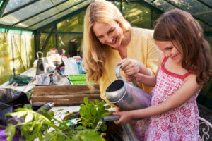 Tips para regar correctamente tus plantas