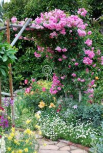 Tutores y espalderas: cómo aprender a guiar tus plantas
