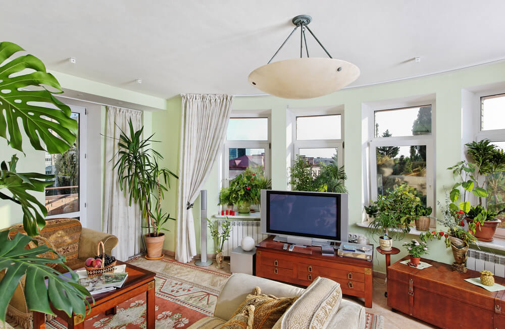 Decoración de salón