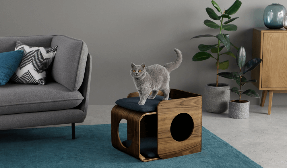 A gray cat standing on a share wooden bed.