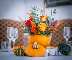 Arreglos naturales muy creativos, ¡viva la mezcla!