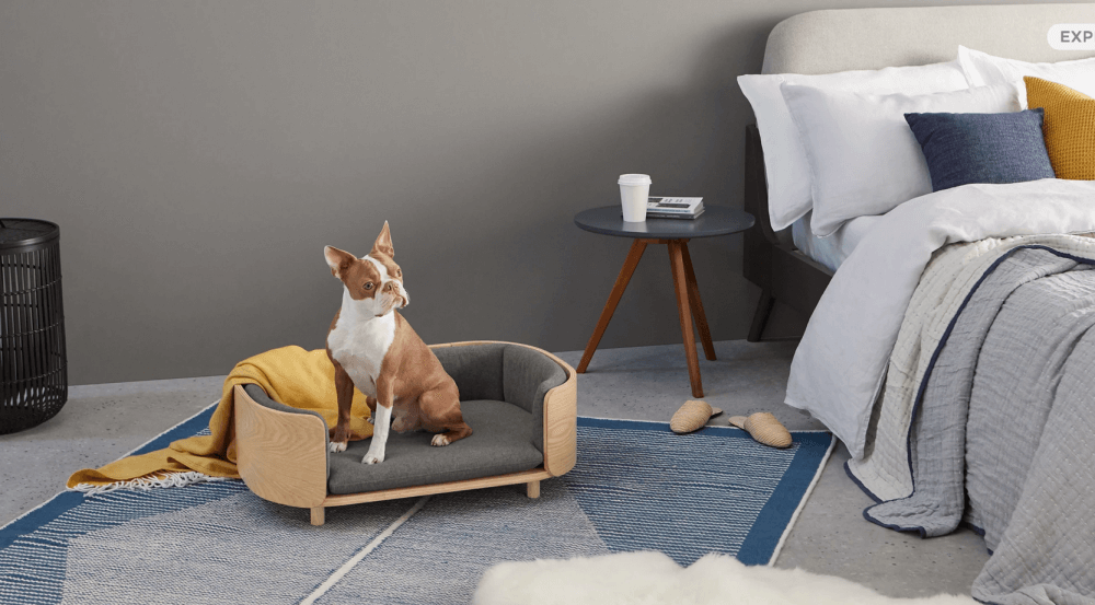 Mobiliario para tu mascota que te enamorará