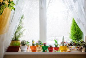 ¡Vamos a decorar nuestras ventanas!