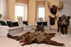 Decoración cinegética para el hogar