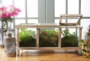 5 claves para realizar un mini vivero