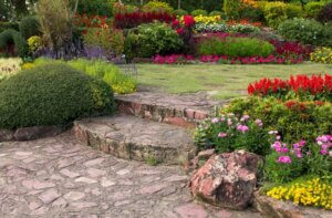 Jardín de verano: un estallido de color
