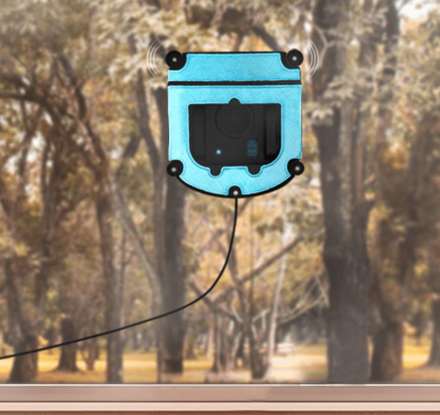 Limpiar las ventanas