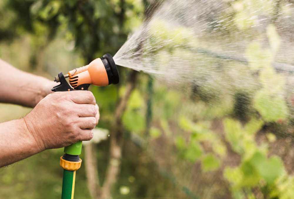 Regar con manguera
