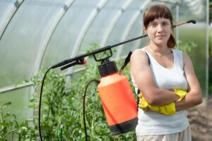 Tus plantas libres de plagas y enfermedades