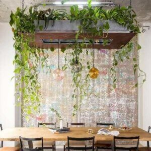 Ideas para decorar con plantas colgantes